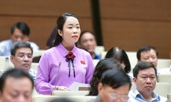Luân chuyển cán bộ kiểm toán nhằm hạn chế tình trạng “thân hữu "
