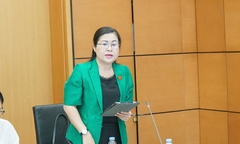 ĐBQH: Thủ đoạn mua bán người ngày càng tinh vi, xảo quyệt