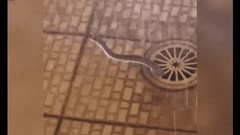 Video: Đang tắm, người đàn ông hoảng hốt phát hiện vị khách  "đặc biệt "