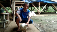 Gà 4 chân được trả 92 triệu đồng, người đàn ông vẫn không bán