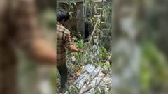 Lực lượng cứu hộ giải cứu chú chó  bị mắc kẹt đầu vào trong chai nhựa