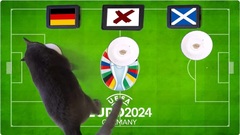 Dự đoán kết quả trận Đức vs Scotland: Chú mèo tiên tri Cass chọn đội nào?