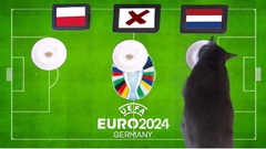 Mèo Cass dự đoán kết quả Ba Lan vs Hà Lan: “Cơn lốc màu da cam” chiếm ưu thế