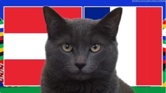 Nhận định, soi kèo trận Áo vs Pháp EURO 2024 2h00 ngày 18/6: Mèo tiên tri sắm vai chuyên gia