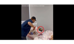 Clip: Cặp vợ chồng sốc nặng khi phát hiện  "vị khách lạ " trên giường con gái