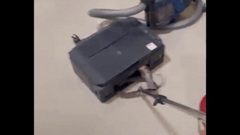Video: Chủ nhà hú vía phát hiện rắn hổ mang ẩn nấp trong máy in