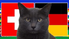 Nhận định, soi kèo trận Thụy Sĩ vs Đức EURO 2024 2h ngày 24/6: Mèo tiên tri gây bất ngờ