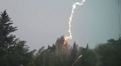 Kinh hoàng khoảnh khắc sét đánh trúng cây trong cơn giông 