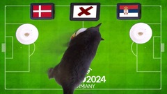 Nhận định, soi kèo trận Đan Mạch vs Serbia, EURO 2024 2h ngày 26/6: Mèo Cass “tiên tri” bất ngờ