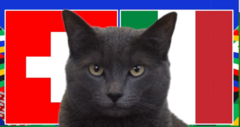 Nhận định, soi kèo trận Italia vs Thụy Sĩ, EURO 2024 23h ngày 29/6: Mèo Cass sắm vai chuyên gia