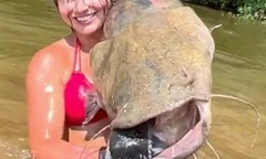 Video: Cô gái xinh đẹp dùng tay không tóm gọn cá trê  "khủng "