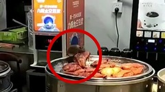 Video: Chuột “thản nhiên” leo lên gặm đùi vịt quay trên khay đồ ăn của khách