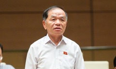 UBTVQH đồng ý khởi tố, bắt tạm giam, tạm đình chỉ nhiệm vụ ĐBQH Lê Thanh Vân