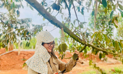 10 năm bỏ phố về quê, chinh phục thị trường bằng trái sầu riêng của O Huyền