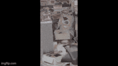 Video: Báo bất ngờ xông vào văn phòng, các nhân viên sợ hãi bỏ chạy