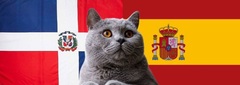 Nhận định soi kèo trận U23 Tây Ban Nha-U23Dominica Olympic Paris 20h ngày 27/7: Mèo tiên tri gây sốc