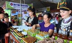 Văn Yên - Yên Bái: Xây dựng mới các sản phẩm OCOP đạt 3 - 5 sao