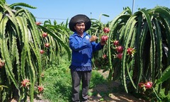 Bản lĩnh người lính của  "đại gia chân đất "