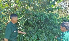 Chuyện lập nghiệp của những cựu binh “tàn nhưng không phế”