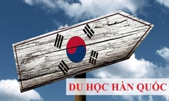 Du học Hàn Quốc nên học ngành gì dễ xin việc trong tương lai