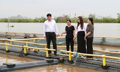 Agribank tổ chức các đoàn công tác nắm bắt tình hình, khắc phục thiệt hại cơn bão số 3