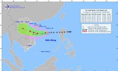 Thủ tướng Chính phủ chỉ đạo ứng phó áp thấp nhiệt đới có thể mạnh lên thành bão