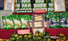 Lục Yên - Yên Bái: Phấn đấu năm 2024 có 26 sản phẩm đạt chuẩn OCOP 3 sao