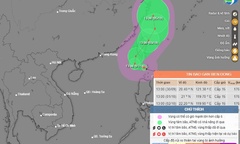 Các tỉnh từ Quảng Ninh đến Bình Định chủ động ứng phó với bão gần Biển Đông