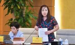 Năm 2025 chưa xem xét điều chỉnh tăng lương khu vực công