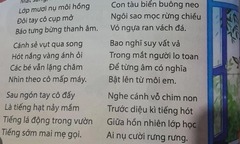  "Tiếng hạt nảy mầm " trong sách Tiếng Việt lớp 5 gây tranh cãi mạnh