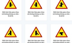 Đường không ưu tiên là gì?