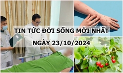 Tin tức đời sống 23/10/2024: Bé 8 tuổi tử vong sau khi ăn cà gai leo ở trên rừng