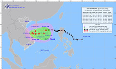 Tin bão mới nhất ngày 26/10: Bão số 6 giật cấp 14 cách Hoàng Sa 230km, tốc độ di chuyển nhanh