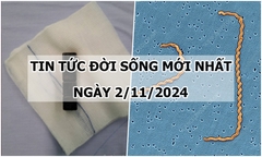 Tin tức đời sống 2/11/2024: Nguyên nhân khiến bé 7 tuổi đau bụng không ngừng