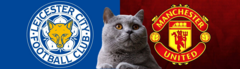 Dự đoán kết quả trận MU vs Leicester, Ngoại hạng Anh 21h ngày 10/11: Mèo tiên tri thiên vị