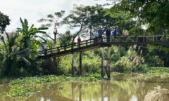 Long An: Khẩn trương truy bắt cá sấu nổi trên sông Bằng Lăng