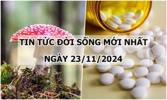 Tin tức đời sống 23/11/2024: 8 người đi cấp cứu, nghi ngộ độc do ăn nấm