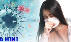 Bình Định ghi nhận 4 ca tử vong do cúm A(H1N1)pdm, Bộ Y tế đề nghị xử lý triệt để