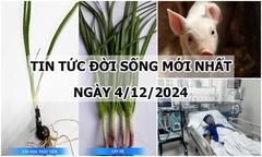 Tin tức đời sống 4/12/2024: Hai trẻ nhập viện sau khi ăn bát cháo chữa ho