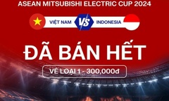 Vé xem trận Việt Nam gặp Indonesia tại AFF Cup 2024 bất ngờ  "cháy hàng "