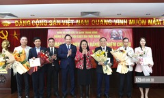 Hội Luật gia Việt Nam trao tặng huy hiệu Đảng và kỷ niệm chương cho đảng viên ưu tú