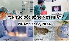 Tin tức đời sống 12/12: Tiểu buốt và đau hông, đi khám phát hiện thận ứ nước