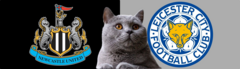 Dự đoán kết quả trận Newcastle vs Leicester, Ngoại hạng Anh 22h ngày 14/12: Mèo tiên tri thiên vị?