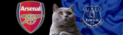 Dự đoán kết quả trận Arsenal vs Everton, Ngoại hạng Anh 22h ngày 14/12: Mèo tiên tri theo Pháo thủ