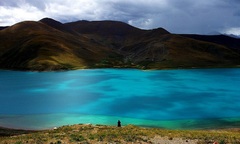  Vì sao hồ ở Tây Tạng có rất nhiều cá nhưng người dân không dám ăn?