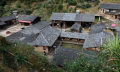 Bí ẩn ngôi làng nhiều cây cối, ao hồ nhưng suốt gần 100 năm không hề có muỗi