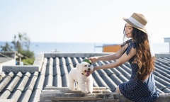 Hiền Thục bất ngờ trở lại đường đua âm nhạc với teaser 2 MV, hé lộ điều đặc biệt