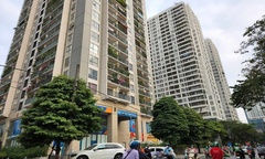 Chuyên gia nhận định  "tin lành, tin dữ " gì về giá nhà chung cư năm 2025?