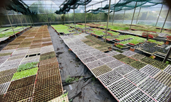 L.A Green: Nâng tầm nông nghiệp việt, kiến tạo vụ mùa bội thu