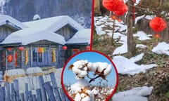 Làng du lịch ở Trung Quốc vừa khai trương đã phải đóng cửa ngay lập tức vì  "lừa dối " du khách